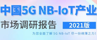 中国5G NB-IoT产业市场调研报告 2021版