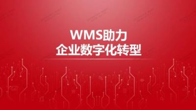 WMS助力企业数字化转型